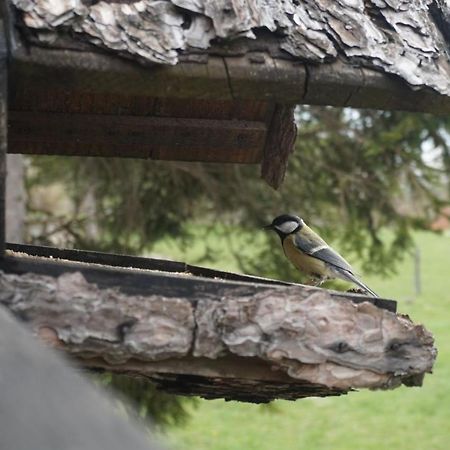 Tilia Cottage Banjska Stena Mitrovac Kültér fotó