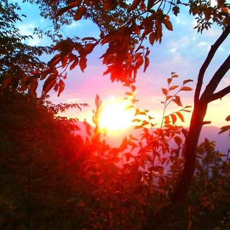 Tilia Cottage Banjska Stena Mitrovac Kültér fotó