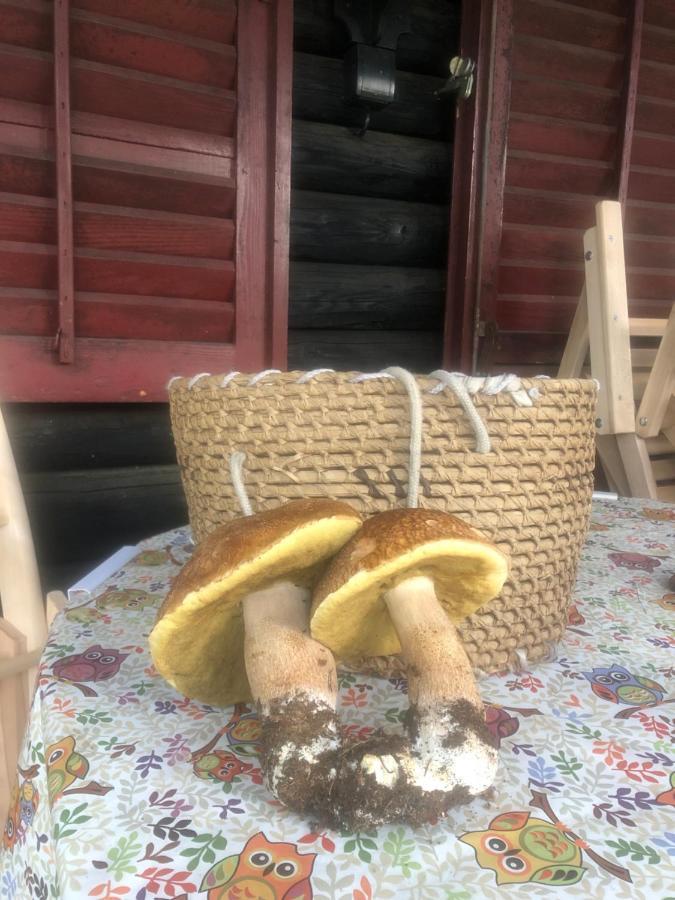 Tilia Cottage Banjska Stena Mitrovac Kültér fotó