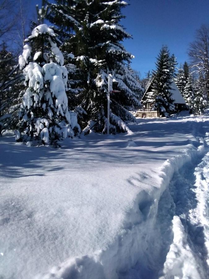 Tilia Cottage Banjska Stena Mitrovac Kültér fotó