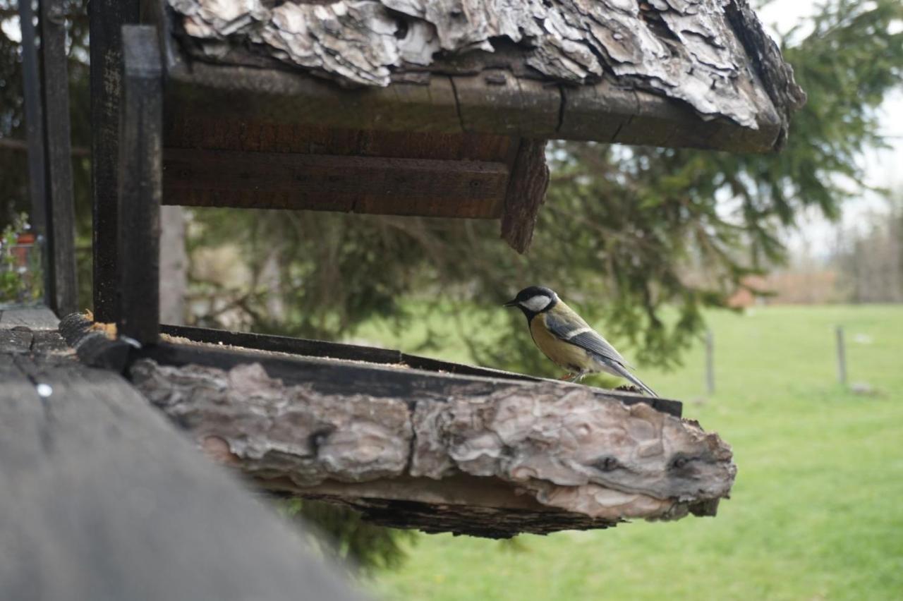 Tilia Cottage Banjska Stena Mitrovac Kültér fotó