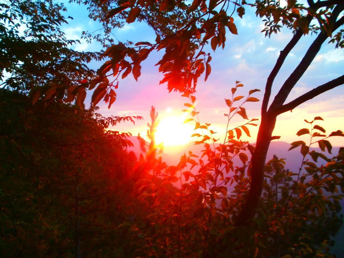 Tilia Cottage Banjska Stena Mitrovac Kültér fotó